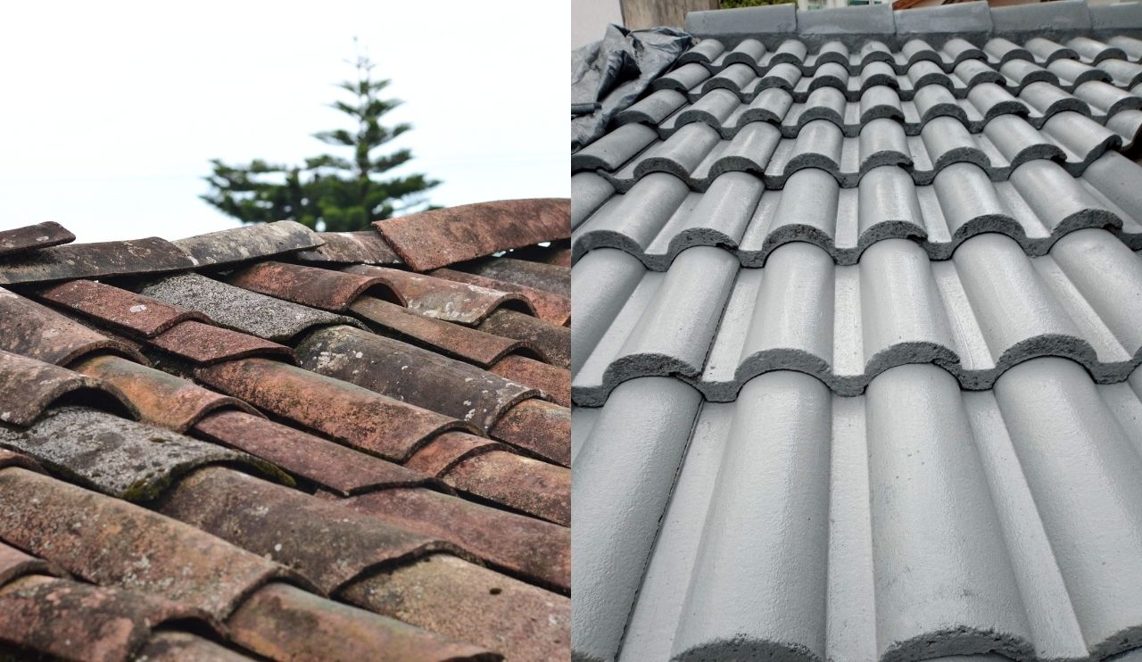 Untitled design (2).jpg